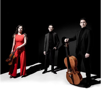 amatis_trio_sqr