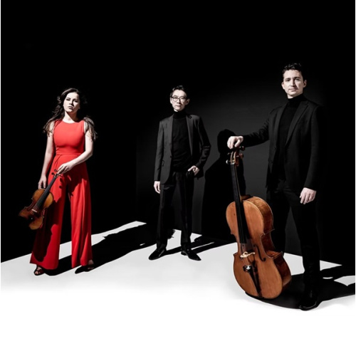 amatis_trio_sqr